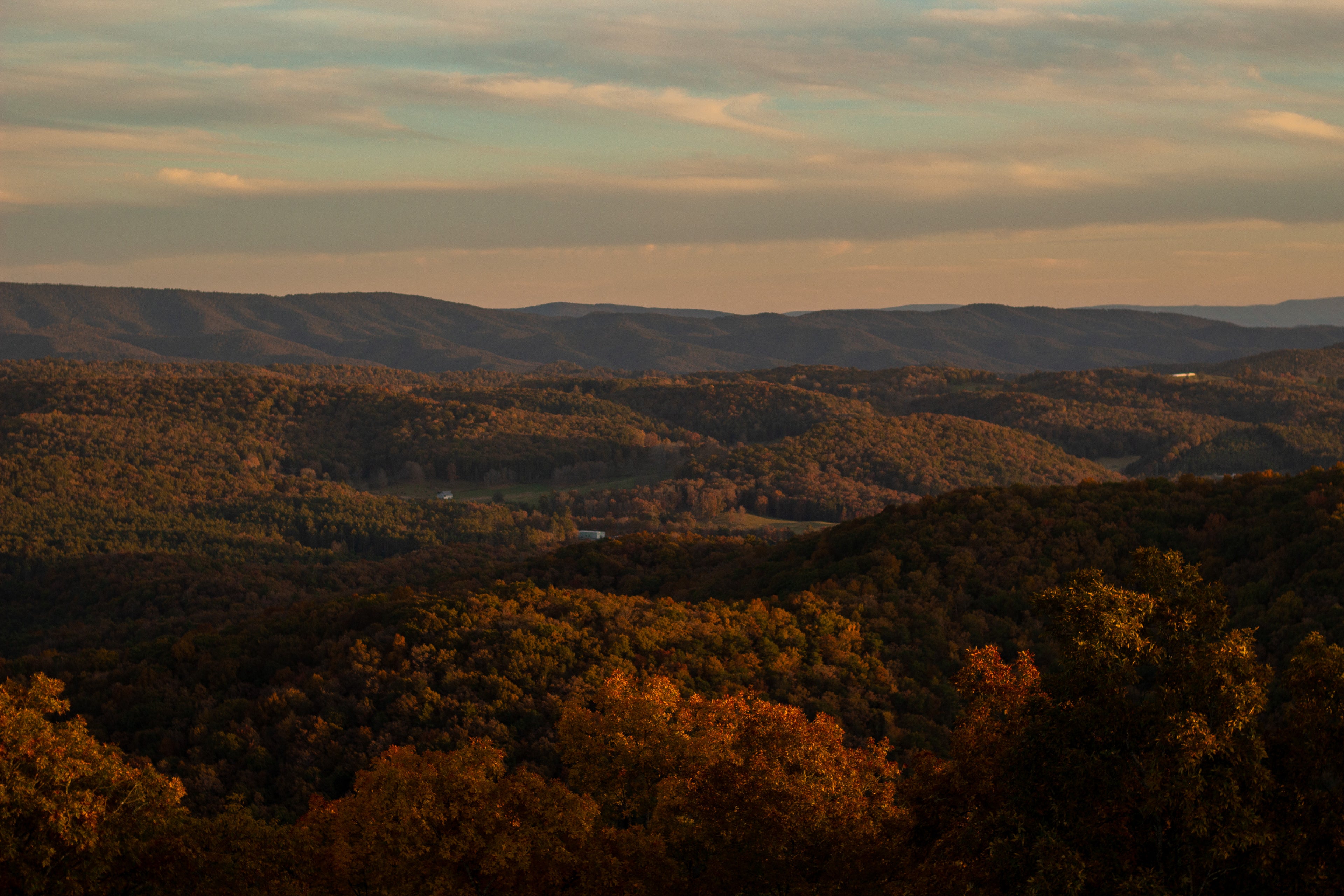 The West Virginia Company